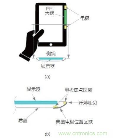 (a)側(cè)剖視圖描述；(b)電極焦點(diǎn)區(qū)域描述