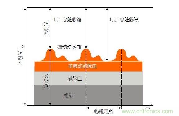 PPG測(cè)量中檢測(cè)器信號(hào)的產(chǎn)生。照射皮膚的光線(I0)被靜脈血或動(dòng)脈血吸收，或反射回檢測(cè)器。信號(hào)的變化分量對(duì)應(yīng)著與心跳同步變化的動(dòng)脈血流量。這個(gè)信號(hào)的變化周期指示了脈率。最小和最大檢測(cè)器信號(hào)的比值(光電流Imin/Imax)為判斷血氧飽和度提供了依據(jù)。