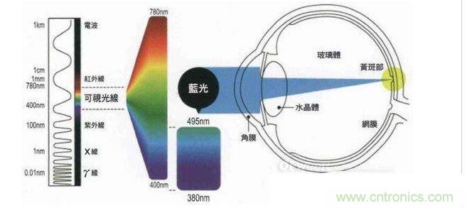 短波高能藍(lán)光引起視網(wǎng)膜色素上皮的萎縮