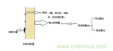 仿生傳感器的定義、原理、分類及應(yīng)用