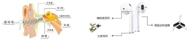 骨振動傳感器在TWS耳機中的應用